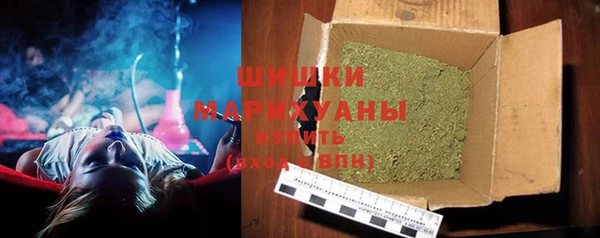 дживик Пестово