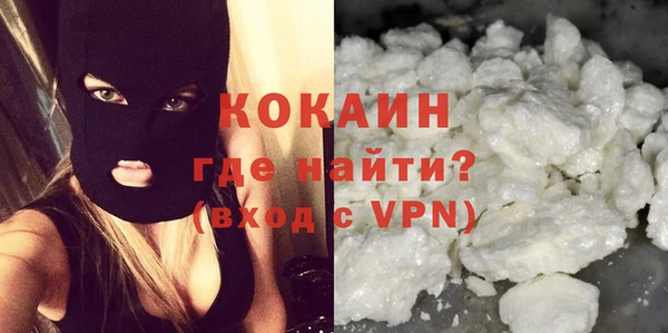 дживик Пестово