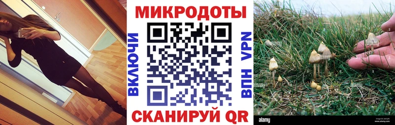 Псилоцибиновые грибы мицелий Купить где Гороховец